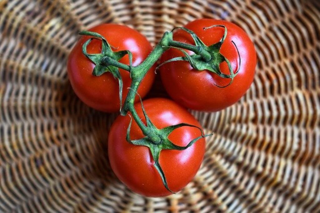 Pomidory należą do blatu lub parapetu.